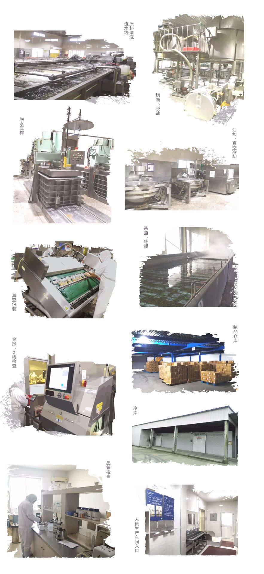 制作_畫(huà)板 1.jpg